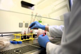 Laborbench mit Reagenzgläsern