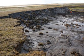 Tauender Permafrost in Sibirien. 