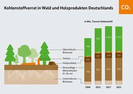 Veränderungen des Kohlenstoffvorrates in Wald und Holzprodukten. Grafik: Veränderungen des Kohlenstoffvorrates in Wald und Holzprodukten.
